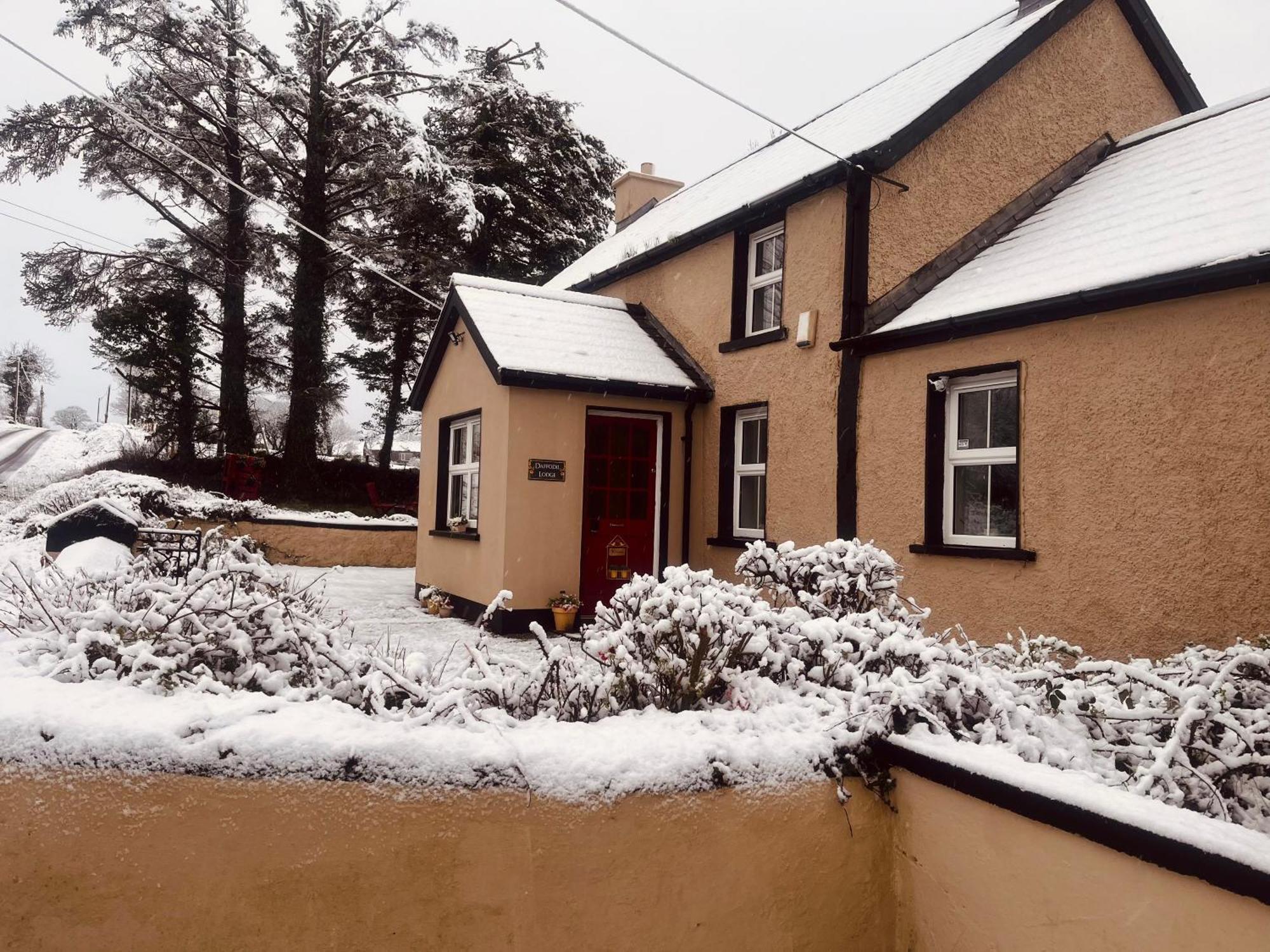 Daffodil Lodge Sligo Extérieur photo